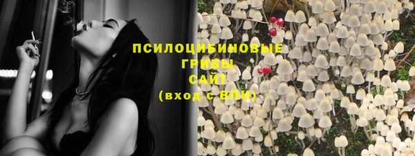 хмурый Снежногорск