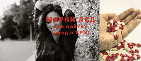 хмурый Снежногорск