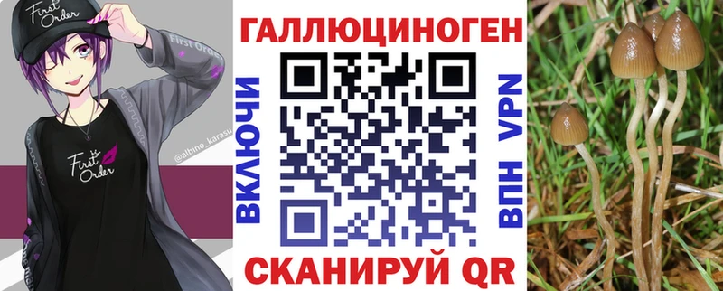 Галлюциногенные грибы Psilocybe Купить закладки Владикавказ